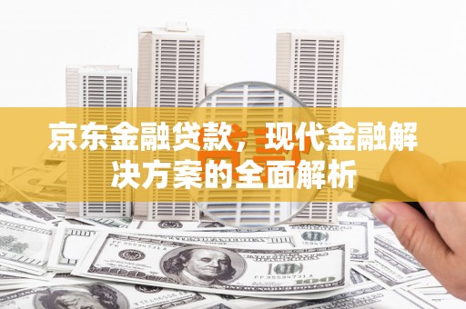 武清京东金融贷款，现代金融解决方案的全面解析