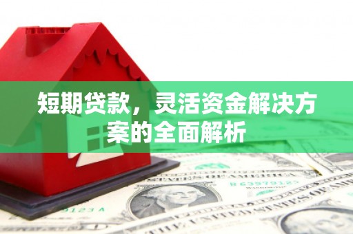 武清短期贷款，灵活资金解决方案的全面解析