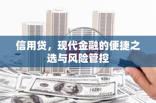 武清信用贷，现代金融的便捷之选与风险管控