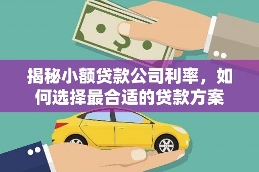 武清揭秘小额贷款公司利率，如何选择最合适的贷款方案
