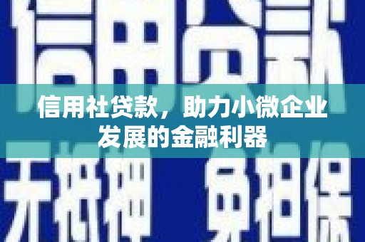 武清信用社贷款，助力小微企业发展的金融利器