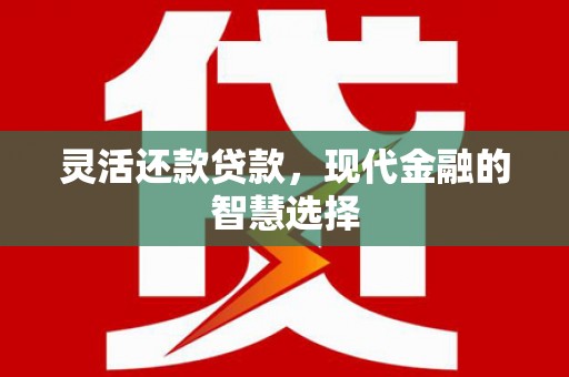 武清灵活还款贷款，现代金融的智慧选择