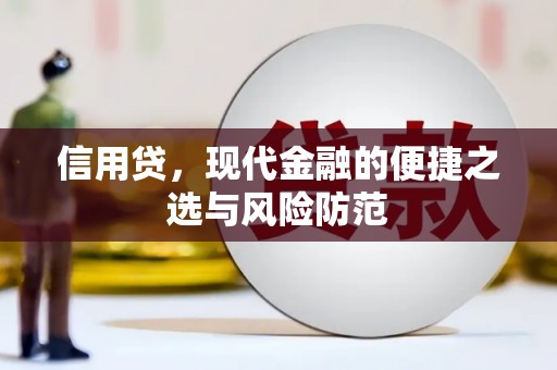 武清信用贷，现代金融的便捷之选与风险防范