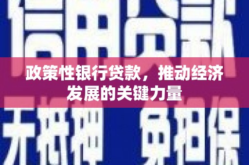 武清政策性银行贷款，推动经济发展的关键力量