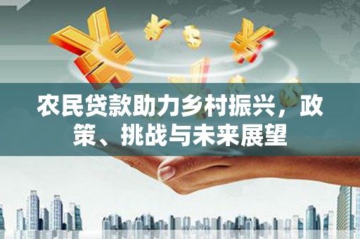 武清农民贷款助力乡村振兴，政策、挑战与未来展望
