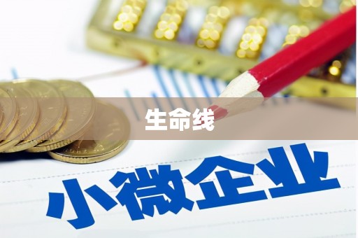 武清生命线
