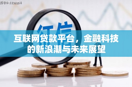 武清互联网贷款平台，金融科技的新浪潮与未来展望
