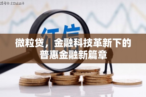 武清微粒贷，金融科技革新下的普惠金融新篇章