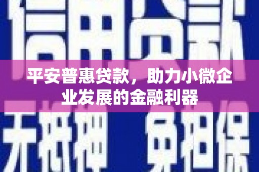 武清平安普惠贷款，助力小微企业发展的金融利器