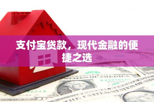 武清支付宝贷款，现代金融的便捷之选