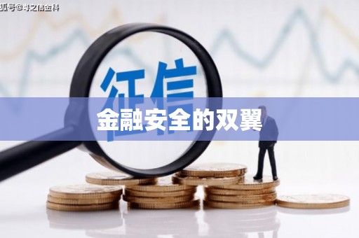 武清金融安全的双翼