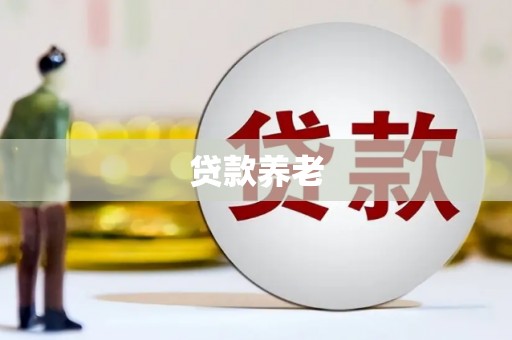 武清贷款养老