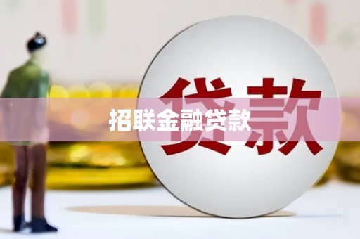 武清招联金融贷款