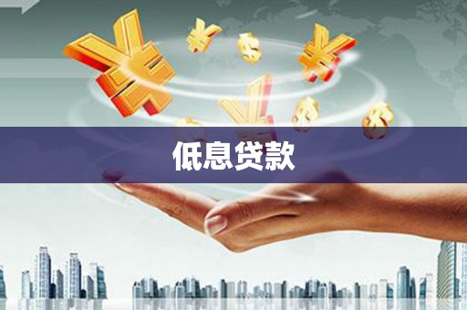 武清低息贷款