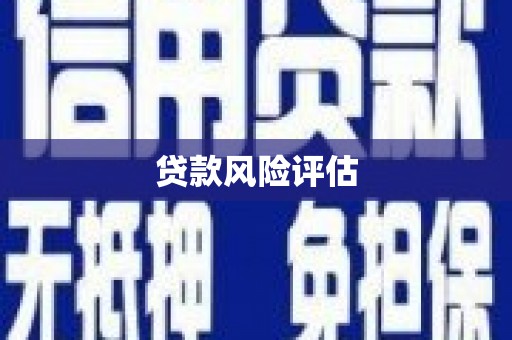 武清贷款风险评估