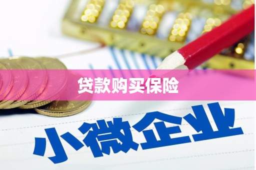 武清贷款购买保险