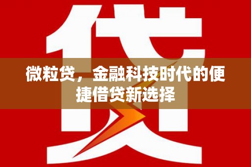 武清微粒贷，金融科技时代的便捷借贷新选择