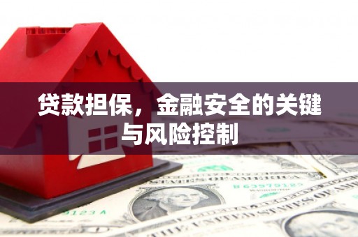 武清贷款担保，金融安全的关键与风险控制