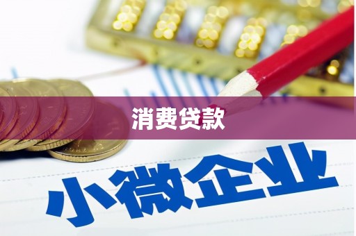 武清消费贷款