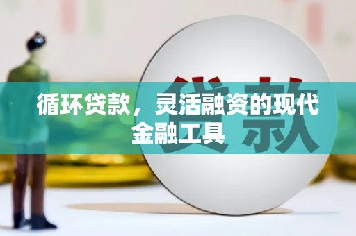 武清循环贷款，灵活融资的现代金融工具