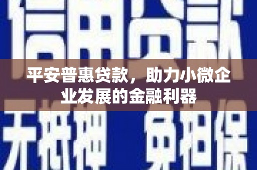 武清平安普惠贷款，助力小微企业发展的金融利器
