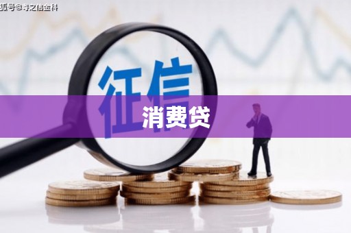 武清消费贷