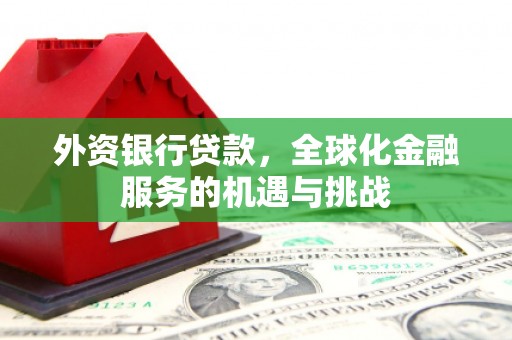武清外资银行贷款，全球化金融服务的机遇与挑战