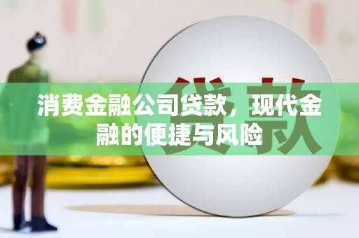 武清消费金融公司贷款，现代金融的便捷与风险