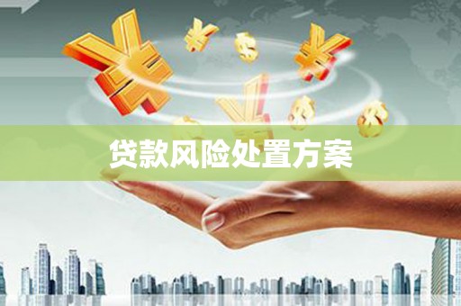 武清贷款风险处置方案