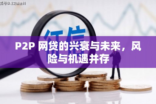 武清P2P 网贷的兴衰与未来，风险与机遇并存