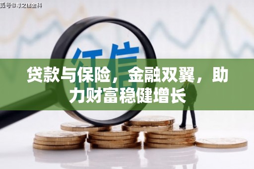 武清贷款与保险，金融双翼，助力财富稳健增长