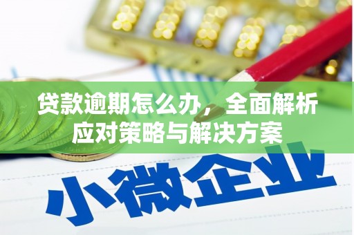 武清贷款逾期怎么办，全面解析应对策略与解决方案