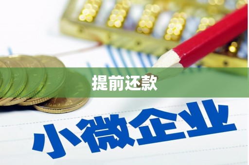武清提前还款