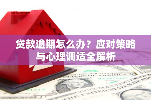 武清贷款逾期怎么办？应对策略与心理调适全解析