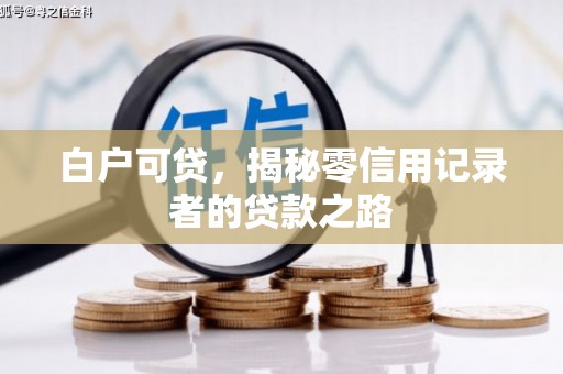 武清白户可贷，揭秘零信用记录者的贷款之路
