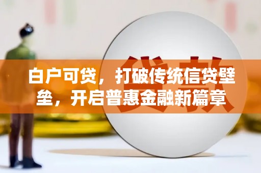 武清白户可贷，打破传统信贷壁垒，开启普惠金融新篇章