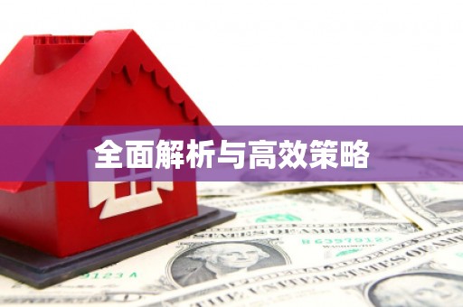 武清全面解析与高效策略
