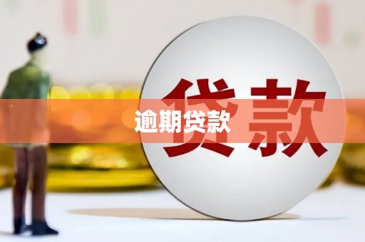 武清逾期贷款