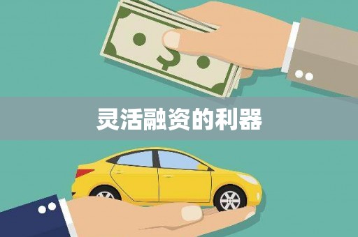 武清灵活融资的利器