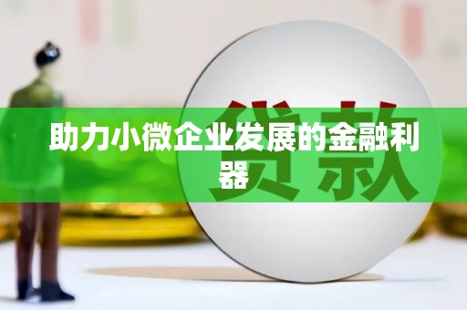 武清助力小微企业发展的金融利器