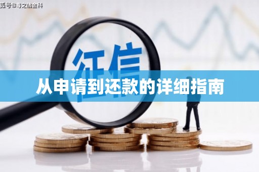 武清从申请到还款的详细指南
