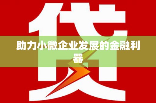 武清助力小微企业发展的金融利器