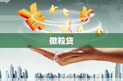 武清微粒贷