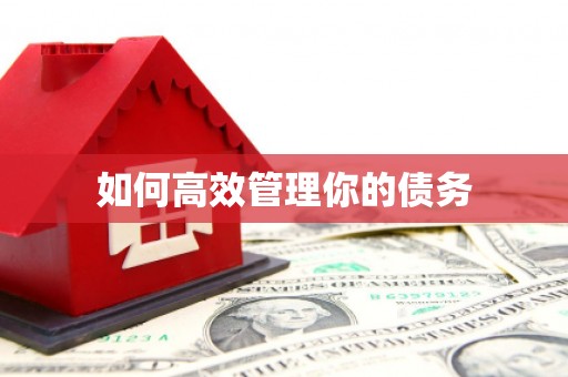 武清如何高效管理你的债务