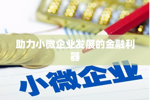 武清助力小微企业发展的金融利器