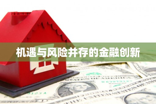 武清机遇与风险并存的金融创新