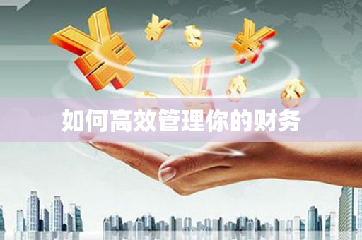 武清如何高效管理你的财务