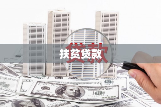 武清扶贫贷款