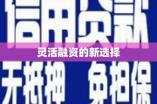 武清灵活融资的新选择