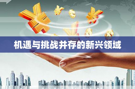 武清机遇与挑战并存的新兴领域
